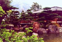 Zen-Garten Monaco, 2002 (analog)  -  Zen Garden In Monaco, 2002 