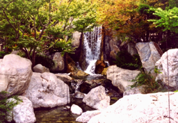 Zen-Garten Monaco, 2002 (analog)  -  Zen Garden In Monaco, 2002 