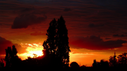 Sonnenaufgang (Frankfurt am Main, Germany)  -  Sunrise Over Frankfurt